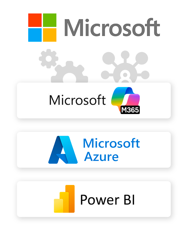 Partner Microsoft