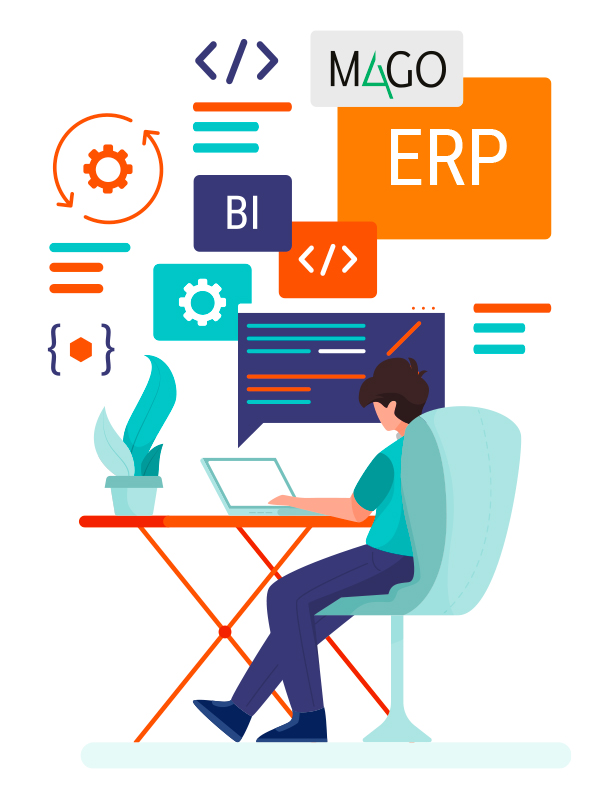 ERP e Business Intelligence